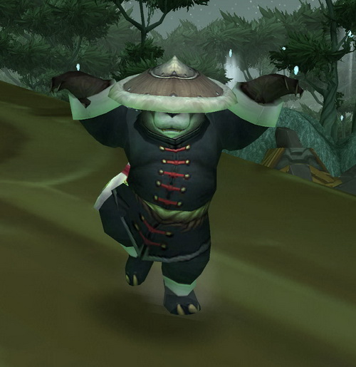 World Of Warcraft Pandaren Monk Pet